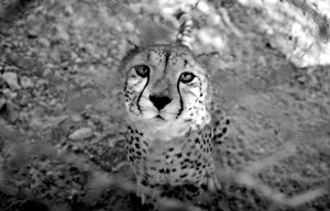 Behind Bars 2004-2013