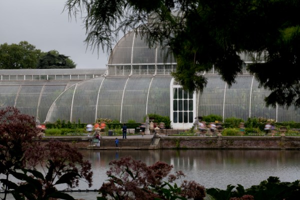 Richmond Running Festival